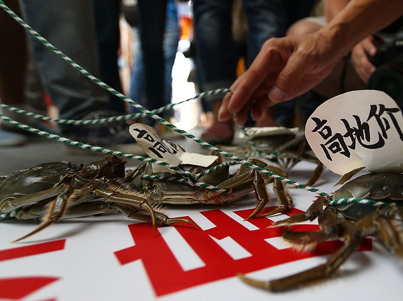 南京房展会市民“遛螃蟹”抗议高房价
